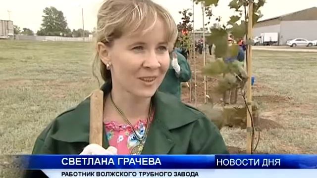 (16+) 100 НОВЫХ ДЕРЕВЬЕВ ПОЯВИЛОСЬ НА ВОЛЖСКОМ ТРУБНОМ ЗАВОДЕ смотреть онлайн
