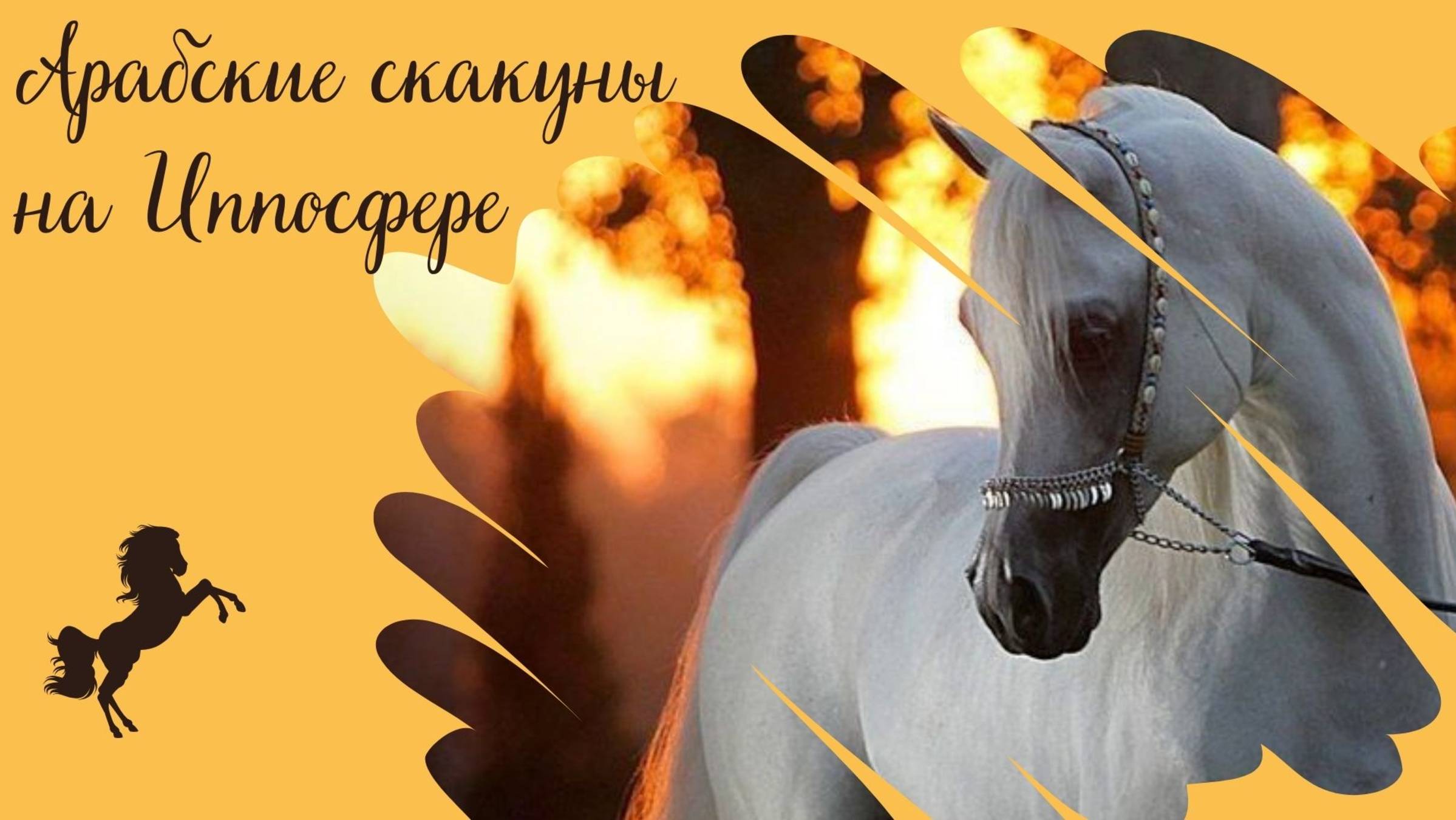 Породный чемпионат 