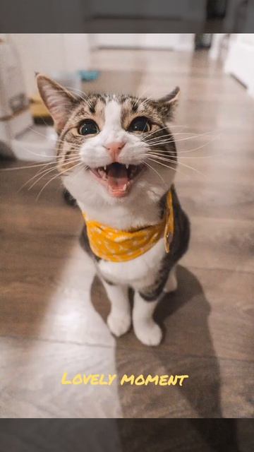 топ обой на екран телефона! смотреть онлайн