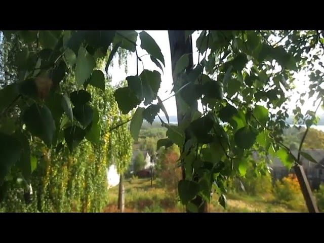 Моя любовь - Автор и музыка Геннадий Лист поём Макс Миран смотреть онлайн