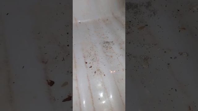 Black shale bar broken cementy tasty earthy 😋😋😋 смотреть онлайн