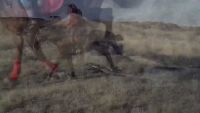 НОВАЯ ЗАСТАВКА! смотреть онлайн
