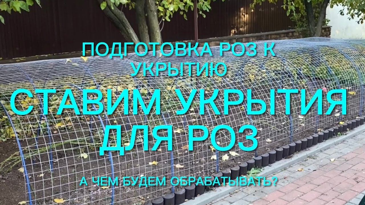Розы. Ставим укрытия . Обрезка полным ходом. Ох и не легкое это дело. А что ещё…. смотреть онлайн