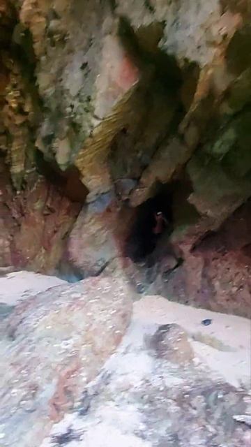 Личинка динозавра? #личинкадинозавра #пещеры #пещерыанглии #caves смотреть онлайн