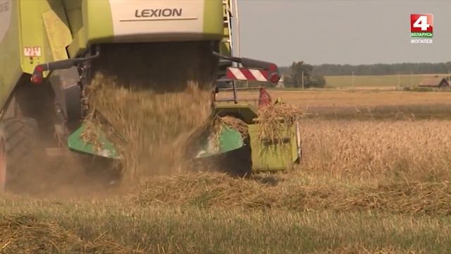 Жатва - 2018, Могилевская область [БЕЛАРУСЬ 4| Могилев] смотреть онлайн