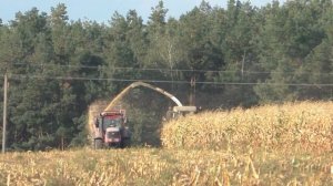 Заготовка силоса 2022