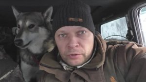 Охота на ЛОСЯ удалась , добыли с лайками хорошего быка