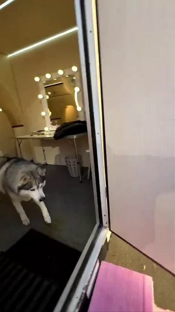 Стать инфоцыганским гуру проще простого — достаточно просто снять гараж. смотреть онлайн