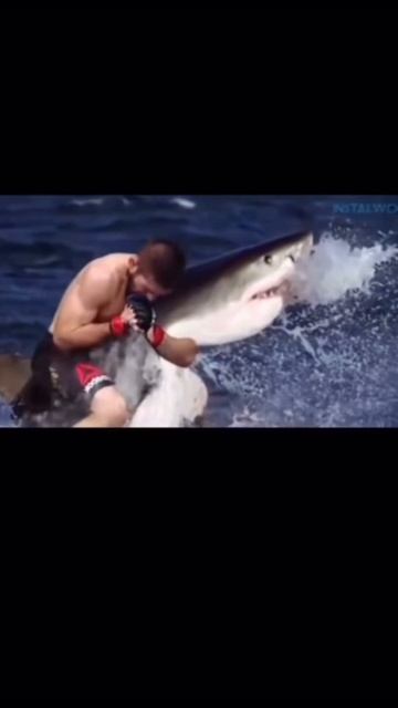 Ржачное видео Хабиб и Конор