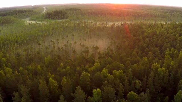 Озвучка видео ролика смотреть онлайн