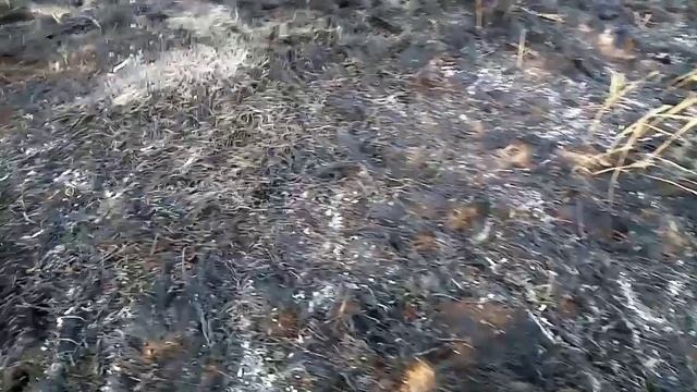 ПОЖАР В СТЕПИ!!! смотреть онлайн