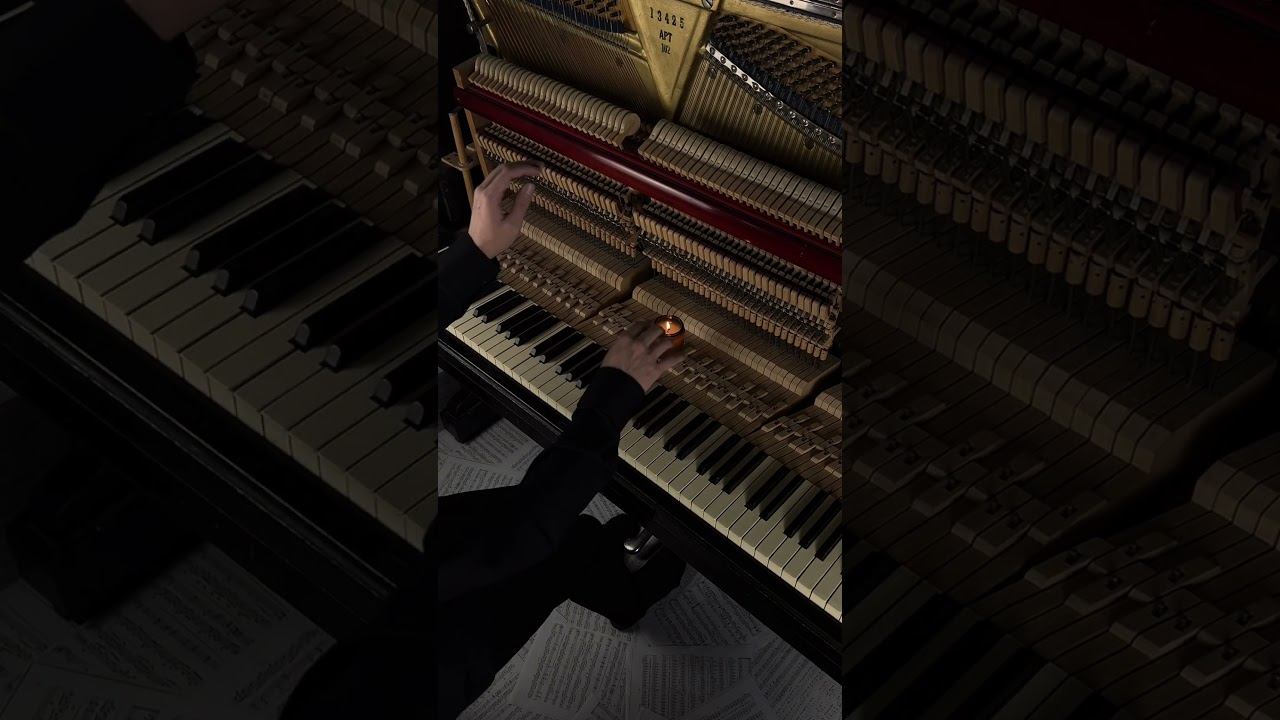 Corpse bride piano duet #aesthetic #piano #calm смотреть онлайн