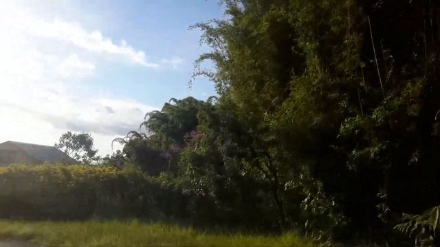 Tourisme Travel: Come back from the forest of Sans Souci - Retour de Sans Souci de la Réunion 17 смотреть онлайн