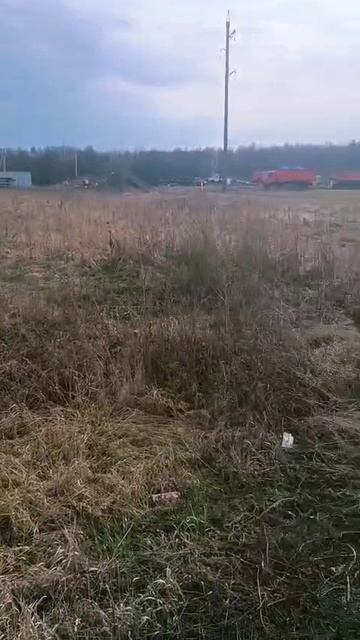 VID_20250406121100.mp4