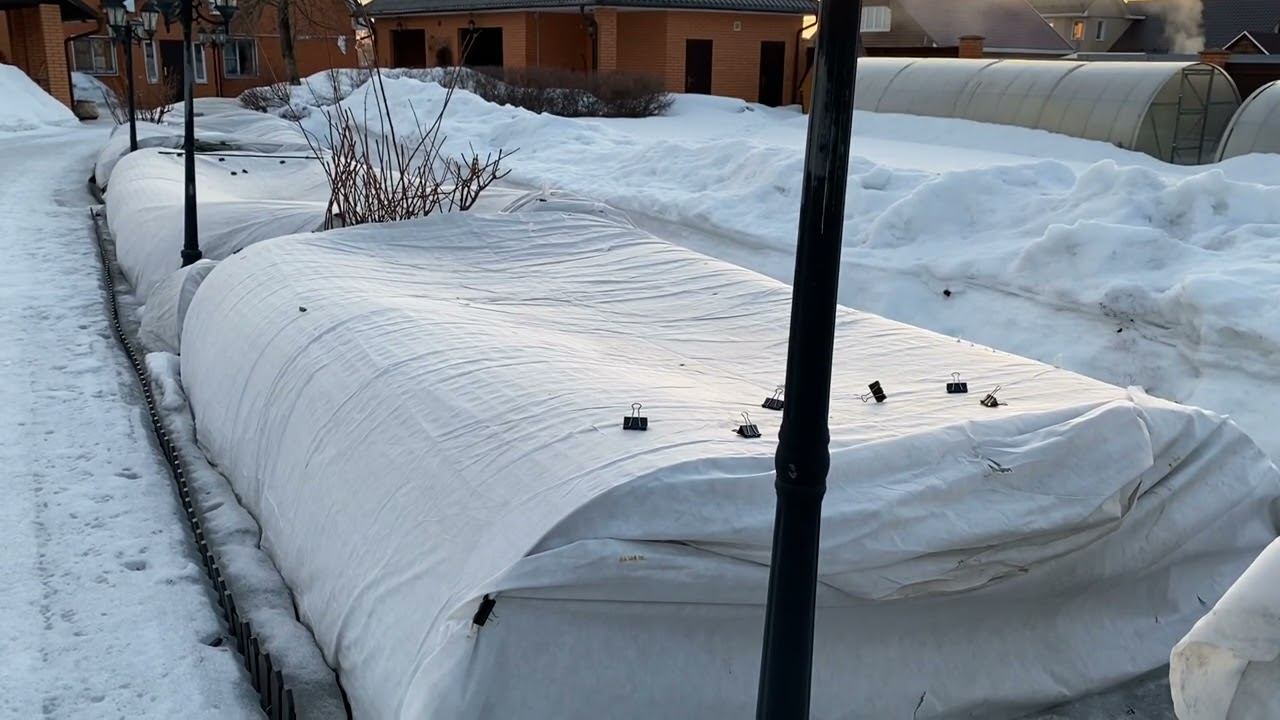 Розы. Не спешите!!! Вы можете сохранить Розы зимой и в мгновенье потерять их весной. смотреть онлайн