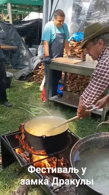 День городка Бран, где замок Дракулы... #brașov #românia #transilvania #bran #brancastle #mamaliga смотреть онлайн