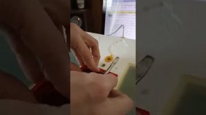 инкубатор Рябушка Устранение неисправности