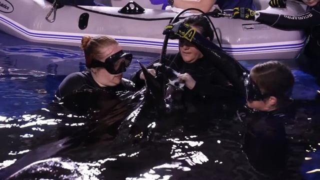 Massive Love for Manta Rays by Aquarium Love Stories смотреть онлайн