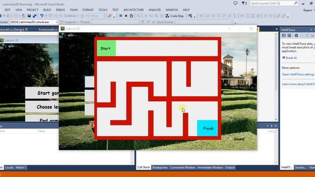 C# Labirint 2D смотреть онлайн