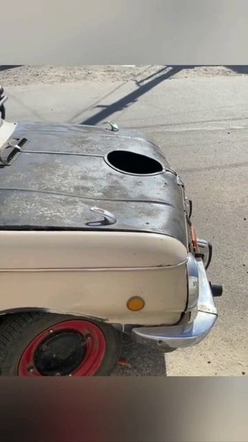 Тюнинг авто и собака