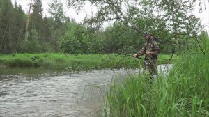 Секретная уральская река Куказар полная хариуса и другой рыбы