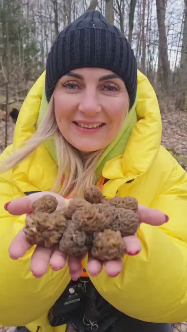 ТИХАЯ ОХОТА 2025. СМОРЧКИ, грибы весны. ШОК!!! смотреть онлайн