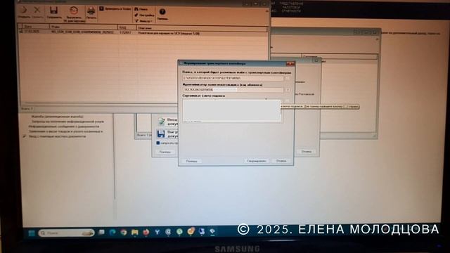 Елена Молодцова