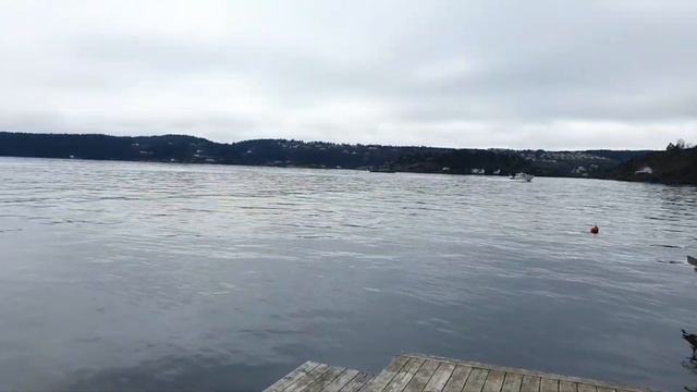 Выходной у моря. Холодная вода. Солнце и овсянка, сэр. Норвегия влог смотреть онлайн