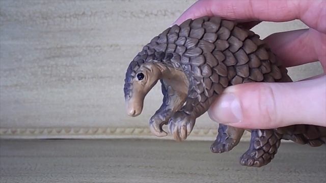 It's A Pangolin! Safari LTD Pangolin Review смотреть онлайн