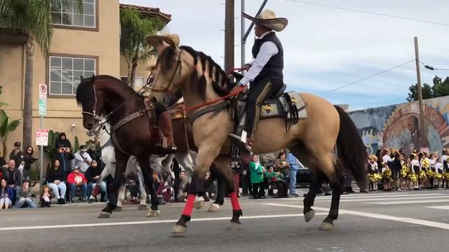 MEXICAN AZTECA/AMERICAN AZTECA DANCING HORSES смотреть онлайн