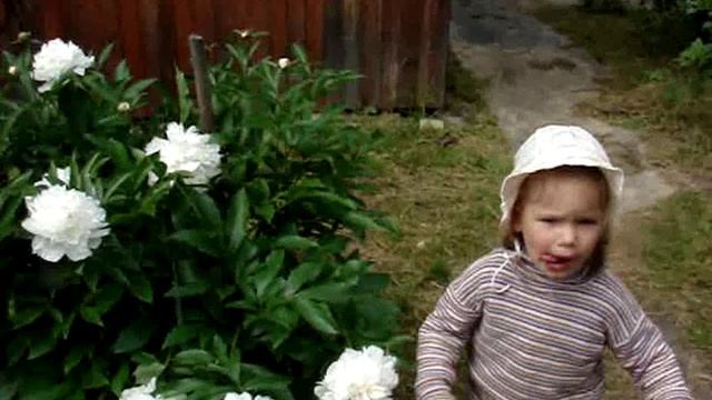 вышла из цветов смотреть онлайн
