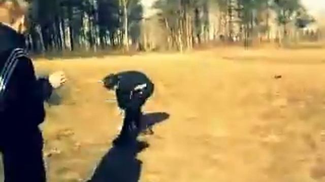 тарзан не ожидал смотреть онлайн