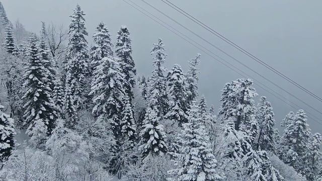 Домбай | 06.04.2025 смотреть онлайн