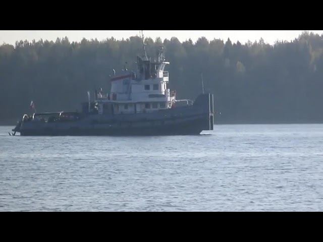 Шалунья - Автор музыка и поёт Владимир Бойцов смотреть онлайн