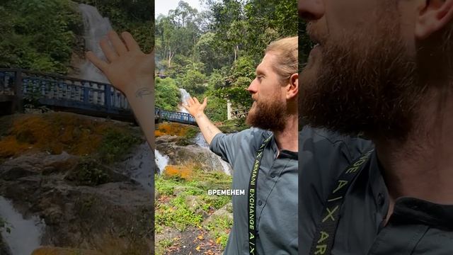 10 лет фруктоедения за 1 минуту☝🏻