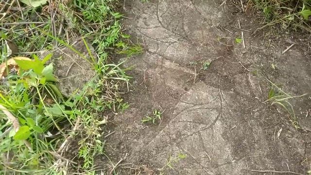 Flat Cement Found In The Hills.. 😱 legit area. смотреть онлайн