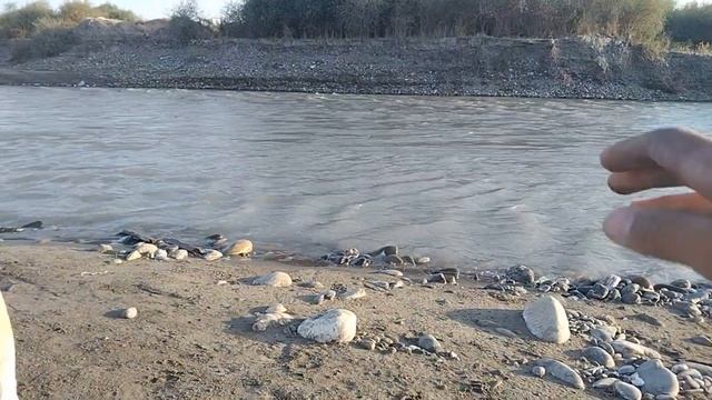 Итни дарйода чумилтириш смотреть онлайн
