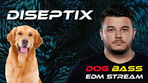 Diseptix - Dog Bass EDM Stream 2025