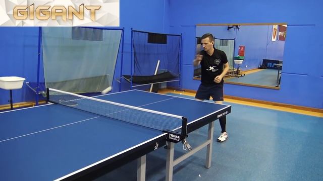Review Spinlord Gigant 2 | #tabletennis #openpzts #gdansk