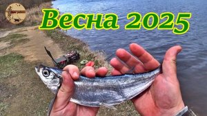 Рыбалка весной.На реке с Фидером.