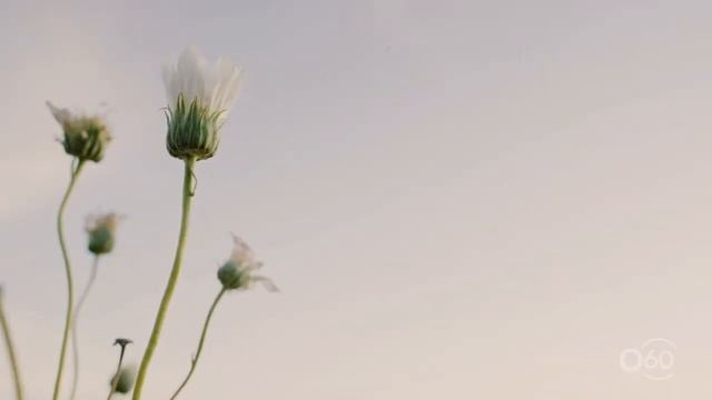 10 life lessons from Confucius смотреть онлайн