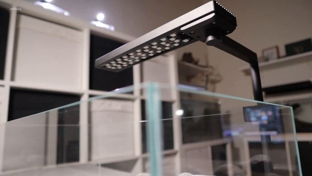 Chihiros C2 RGB !!! | Unboxing | Licht Vergleich !!!