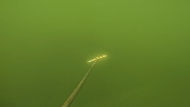 Тест эхолота практик 8 летом на лодке.