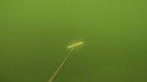 Тест эхолота практик 8 летом на лодке.