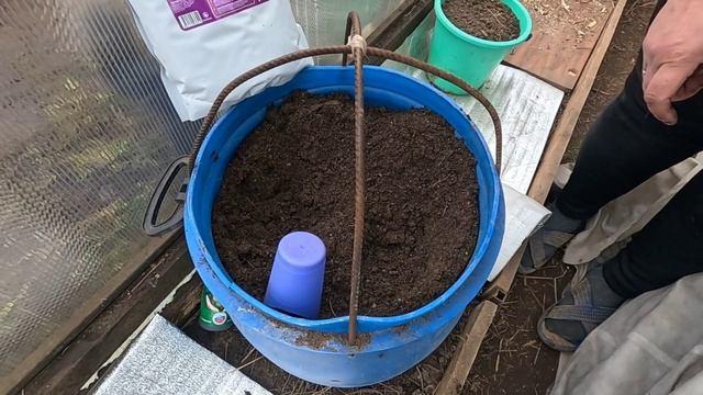 Посадка огурцов в теплицу для раннего урожая!! смотреть онлайн