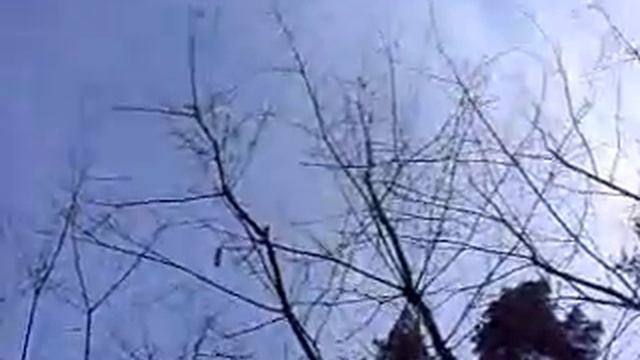 М Геник Білі сосни смотреть онлайн