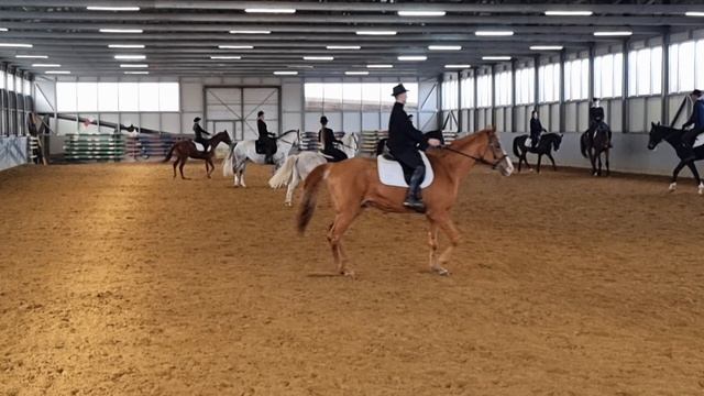 ДР Платан и компания 11лет смотреть онлайн