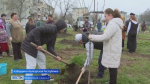 В память о героях войны в Кабардино-Балкарии посадили 80 деревьев