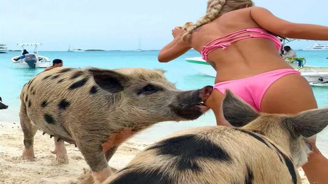 Я РЖАЛ ДО СЛЕЗ 😂 5 Минут ОТБОРНЫХ Русских приколов 2024 Смешные видео - Лучшие ПРИКОЛЫ смотреть онлайн