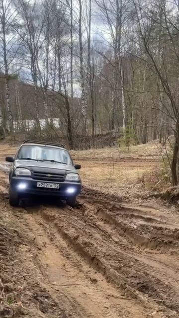 Шнива смотреть онлайн
